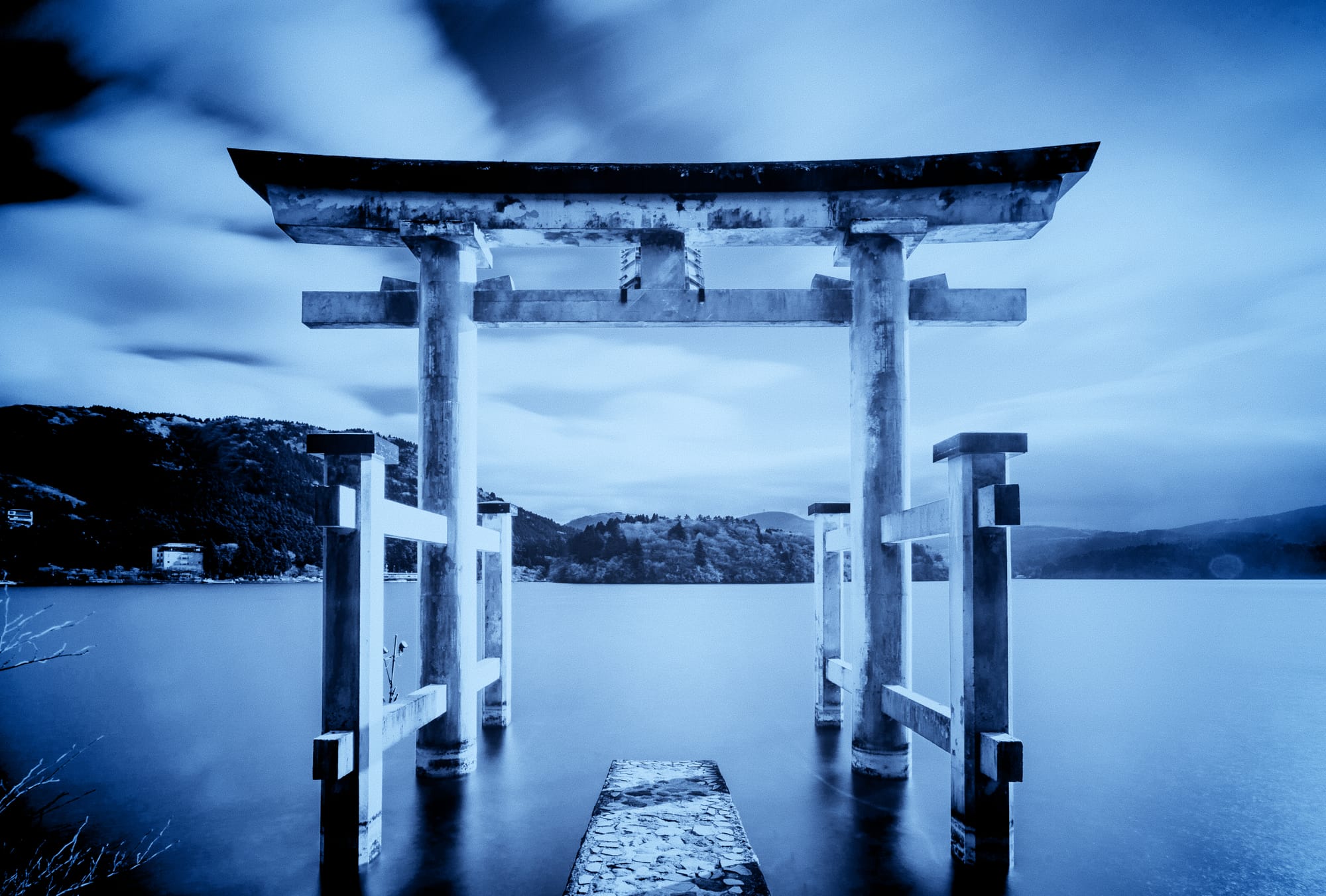 Japan Insights